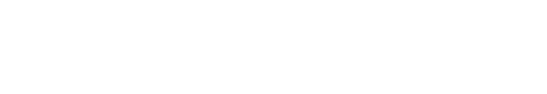 IBERO · BIT Institute